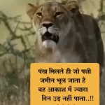 645+ New Motivational Status Video Download In Hindi ।