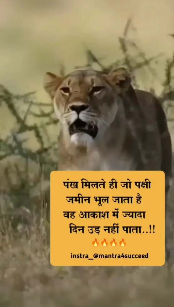 Trending 9999+ } WhatsApp Status Video Download Free (2022) IN Hindi. » Top Best WhatsApp Status (2022) IN To WhatsApp Status Video To WhatsApp Status Download 2022 (DiB Rahul) { Trending 9999+ } WhatsApp Status Video Download Free (2022) IN Hindi. » Top Best WhatsApp Status (2022) IN To WhatsApp Status Video To WhatsApp Status Download 2022 (DiB Rahul) {